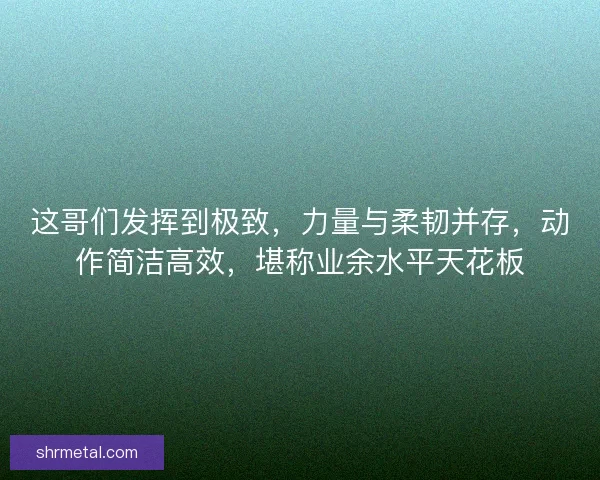 这哥们发挥到极致，力量与柔韧并存，动作简洁高效，堪称业余水平天花板