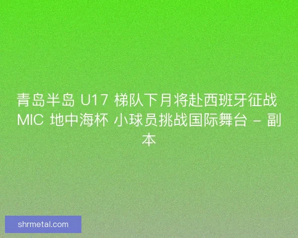 青岛半岛 U17 梯队下月将赴西班牙征战 MIC 地中海杯 小球员挑战国际舞台 - 副本