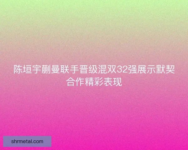 陈垣宇蒯曼联手晋级混双32强展示默契合作精彩表现