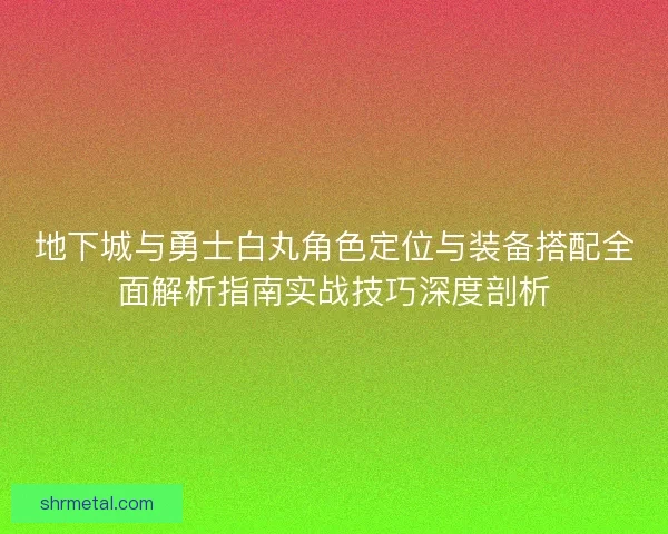 地下城与勇士白丸角色定位与装备搭配全面解析指南实战技巧深度剖析