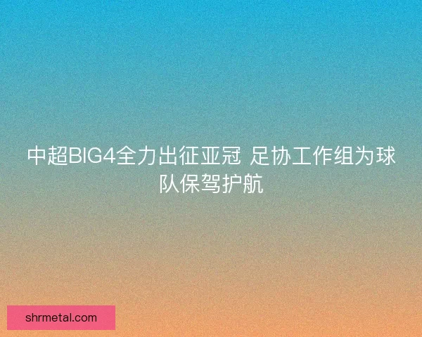 中超BIG4全力出征亚冠 足协工作组为球队保驾护航